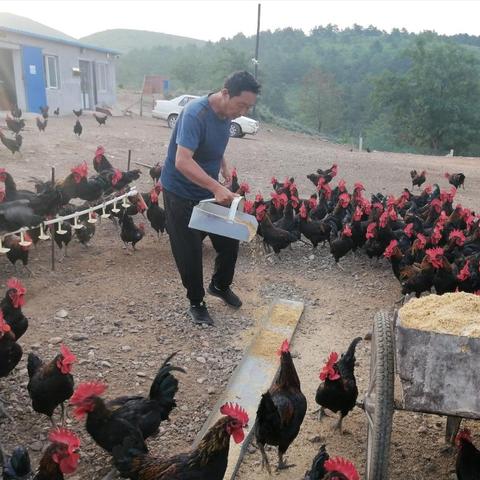 我从沈阳市到恒仁怎么走