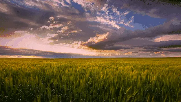 京东线下店什么样子 京东店群什么样子