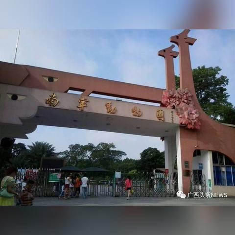 南宁市去上思县的过路费多少？