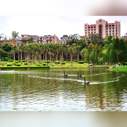 厦门旅游景点排名前十名？