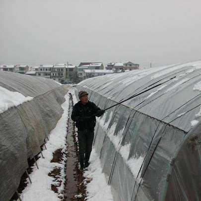 临沂市妨害公务罪的长尾关键词有哪些