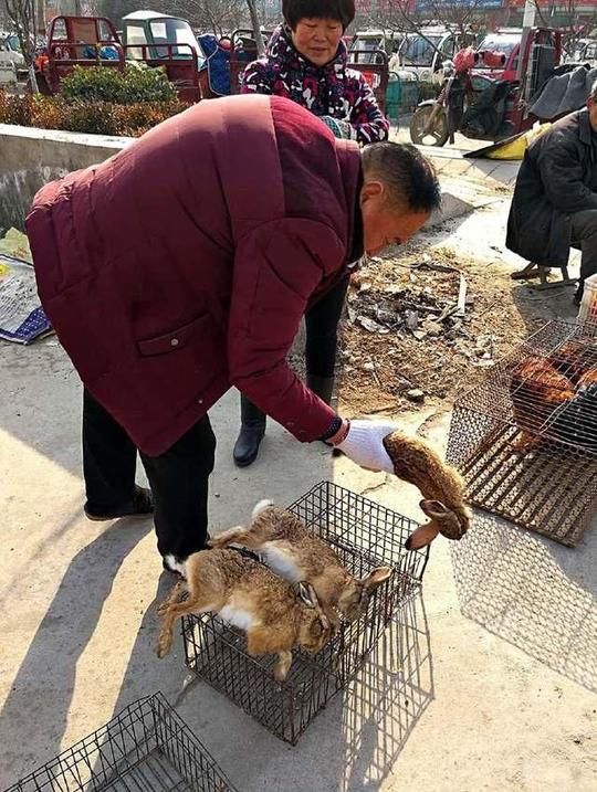 春节农村大集，这些年货接地气生意火，老伯带来的稀罕物200元
