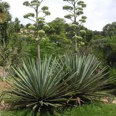 大连北站到大连黑石礁的相关长尾关键词有哪些