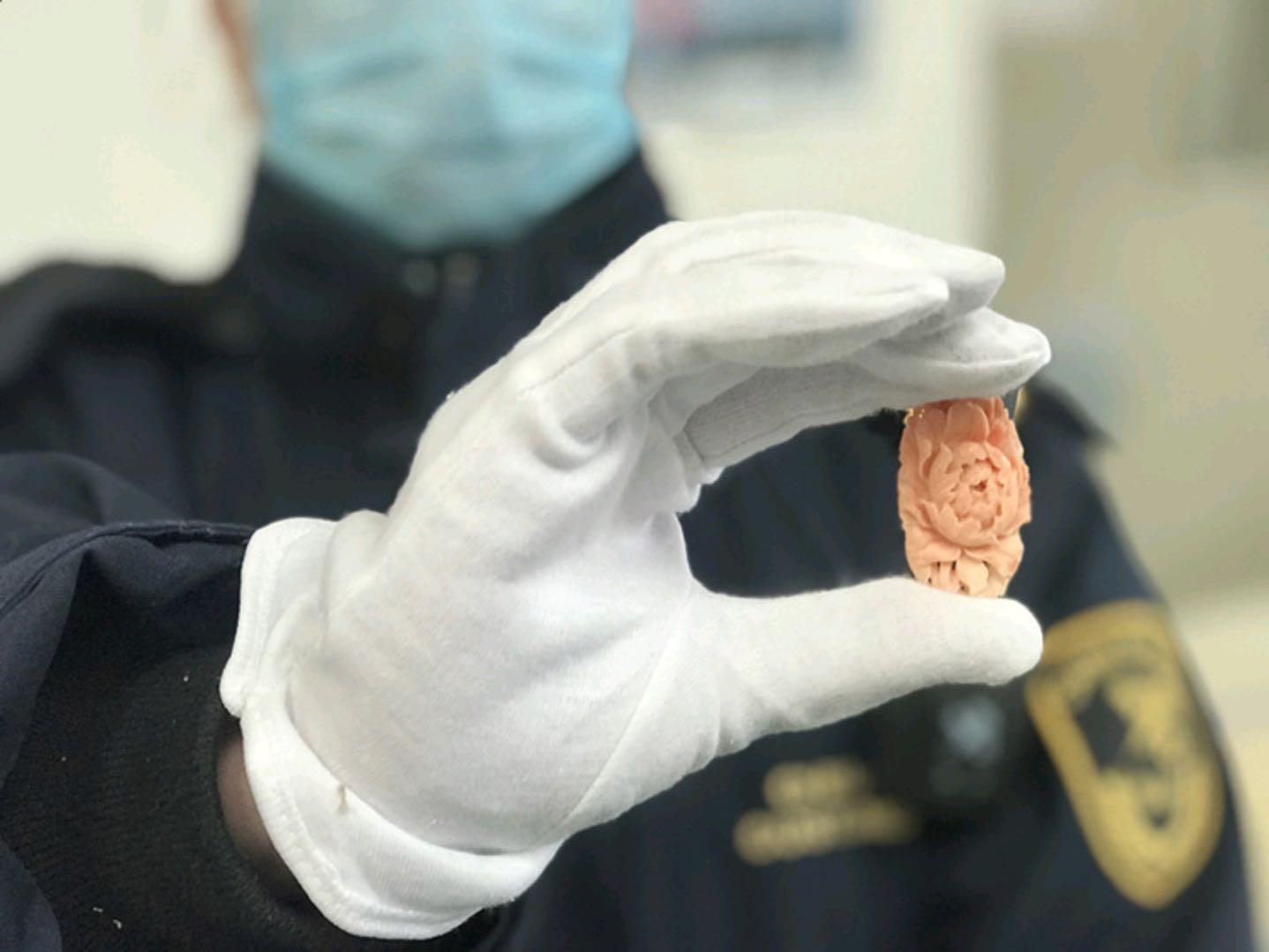 吉林新增2例本土死亡病例
(吉林新增2例本土死亡病例详情)-图1 吉林新增2例本土死亡病例
(吉林新增2例本土死亡病例详情)-图1