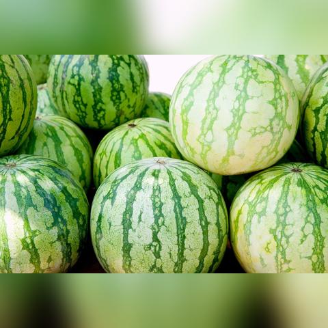 临沂市榴莲哪里的好