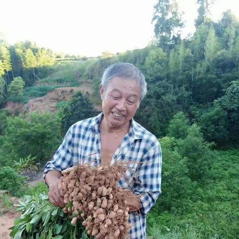 宜城南宁的相关长尾关键词有哪些