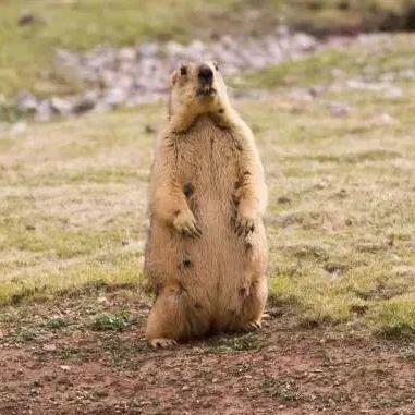 兰州青藏多少钱的相关长尾关键词有哪些