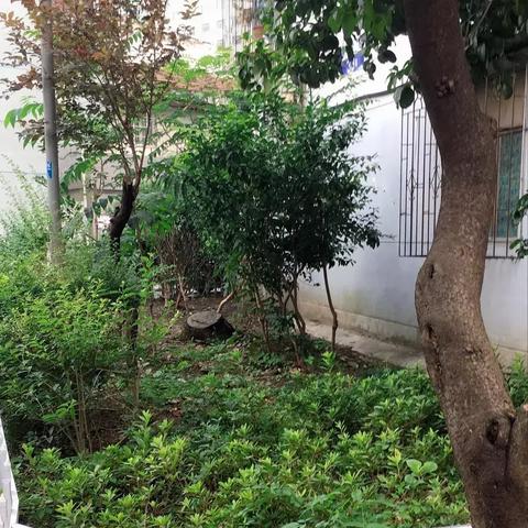 宁波市物业新规怎么样