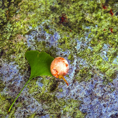 宁波定海三江码头的相关长尾关键词有哪些