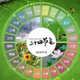 足球比赛5队循环多少场
