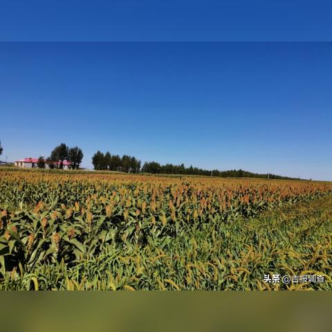 吉林气候怎么样