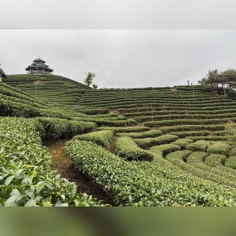 三江回桂林相关长尾关键词有哪些