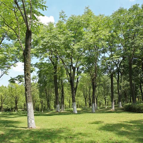 重庆大学研究方向调剂的长尾关键词有哪些