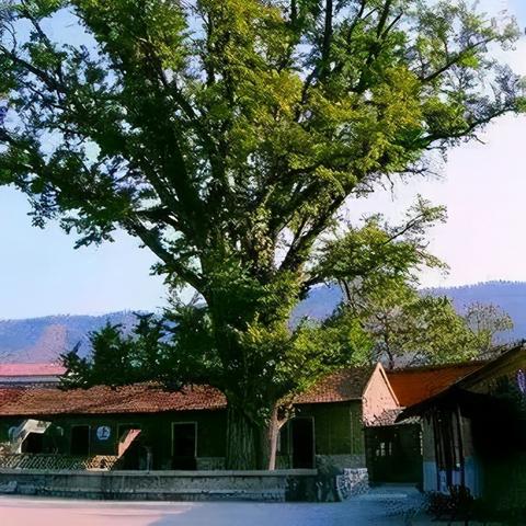 带孩子在济南市玩什么