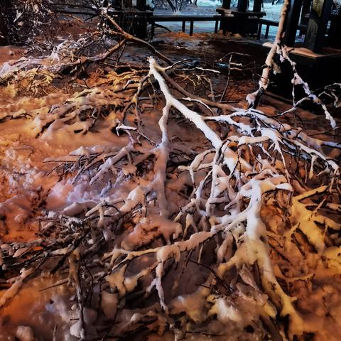 哈尔滨生态板厂相关长尾关键词有哪些