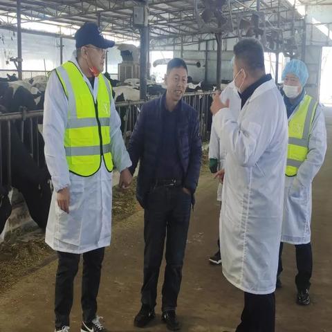 沈阳蒙牛招相关长尾关键词有哪些