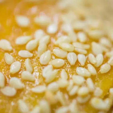 广州市飞机到新疆多少钱