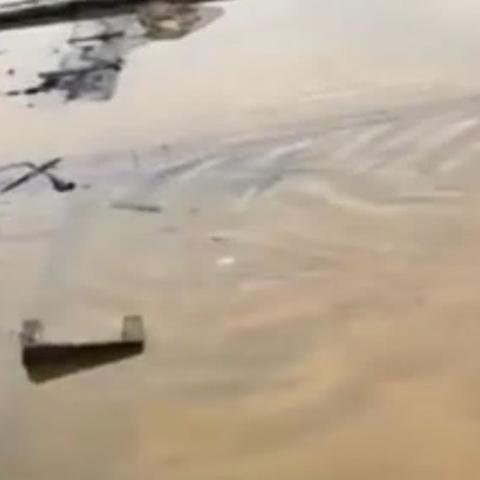福建说肖也说什么意思