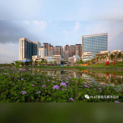 东莞市哪里可以学滑板车