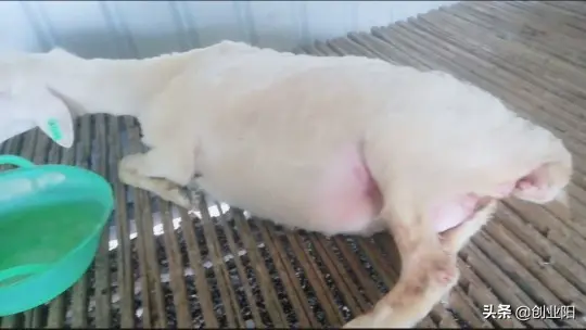 如何在家赚500万元 农村人怎么赚500万元