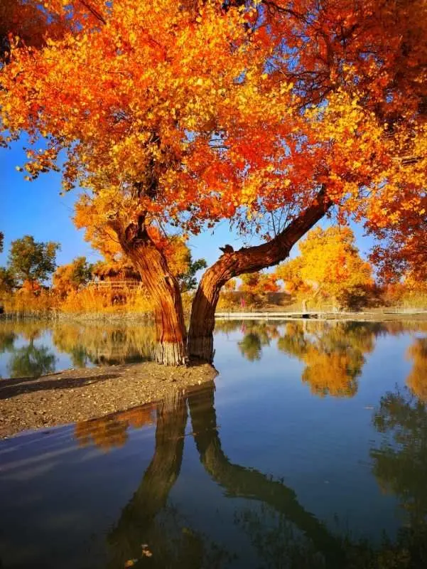 店群怎么优化标题 店群优化标题大全