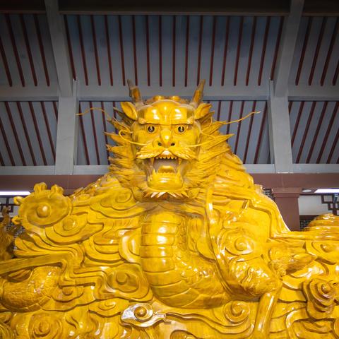 临沂市美丽的夜的长尾关键词有什么