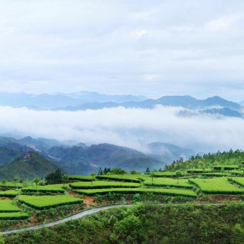 福建的东西南北面各是哪里？