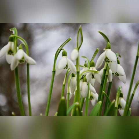生肖4月6日运势(4月6日星座运势)