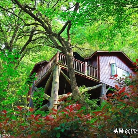 杭州市山水居是哪个区域