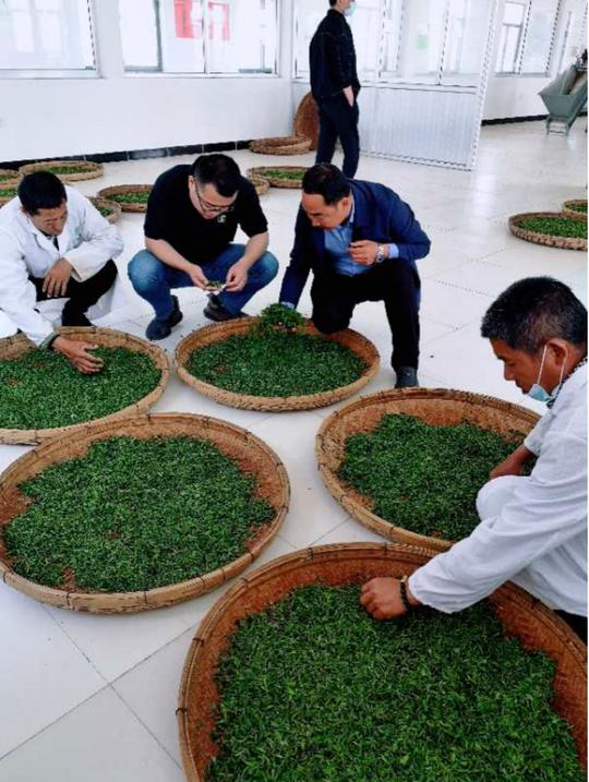 打响茶叶品牌助力乡村振兴—记威海威茗茶业有限公司总经理徐彬