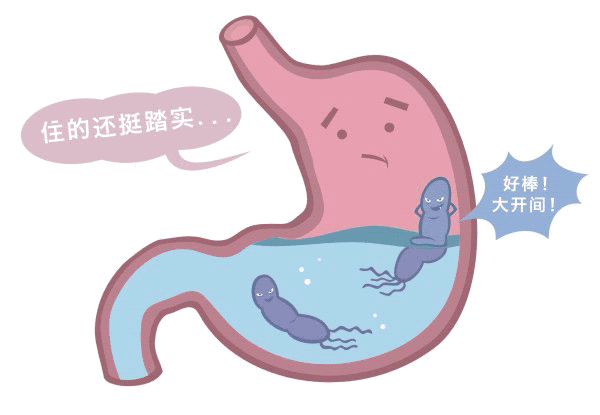 小孩子感染幽门螺杆菌有什么影响