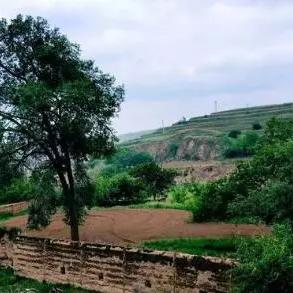 沈阳到松原多远多少公里：距离465公里？