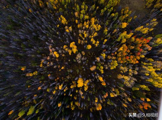 摄影冷门构图技巧，放射式构图，很多摄影师都没用过！