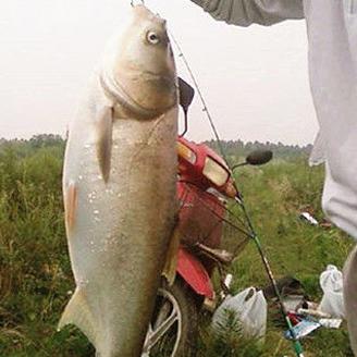 武汉下沉结束的长尾关键词有什么