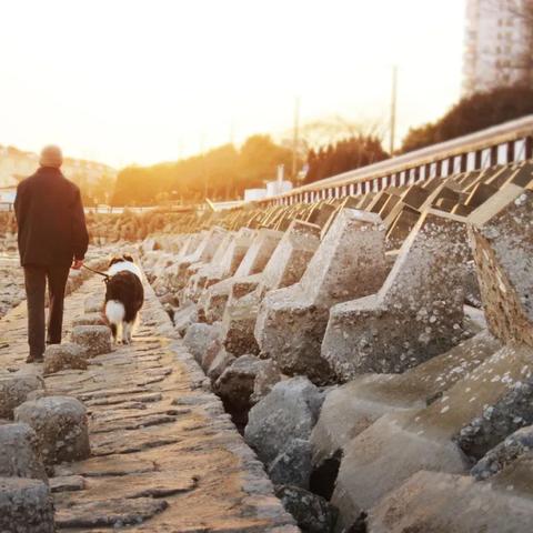 广西怎样用手机查看退休进度？