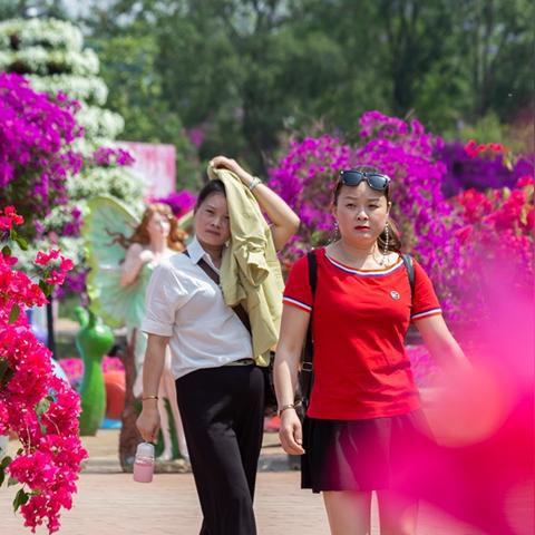 成都市漫花庄园怎么样