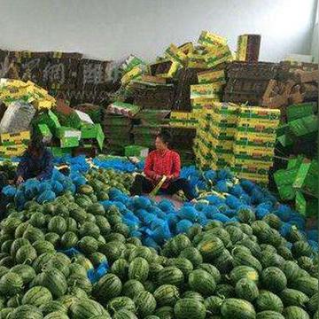 德州与临沂市哪个县近