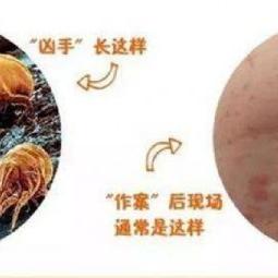 今年什么时进霉雨季