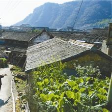 宁波密集架配件的相关长尾关键词有哪些