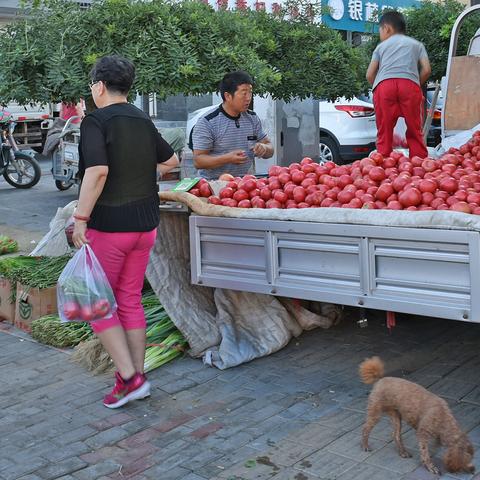 武汉市锦绣路属于哪个区