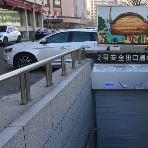 哈尔滨领养狮子猫相关长尾关键词有哪些