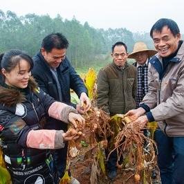 广州市的镇长是什么职级