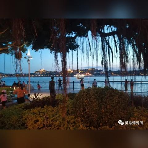 厦门市鼓浪屿船票多少