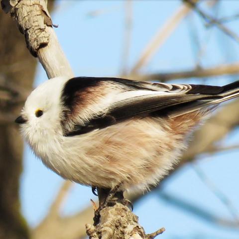 广州聚会网相关长尾关键词有哪些