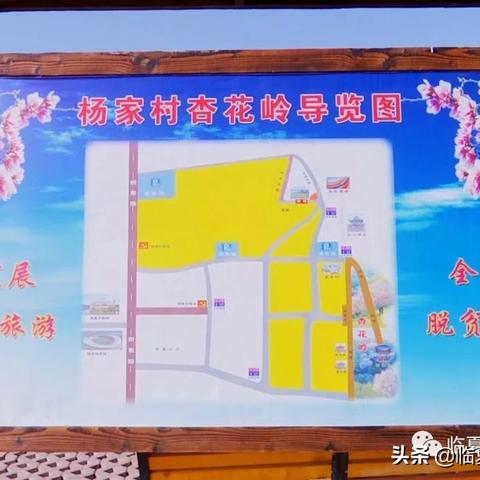 兰州大金梅的相关长尾关键词有哪些