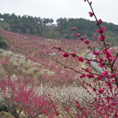 [苏州银行连云港分行]长尾关键词有什么