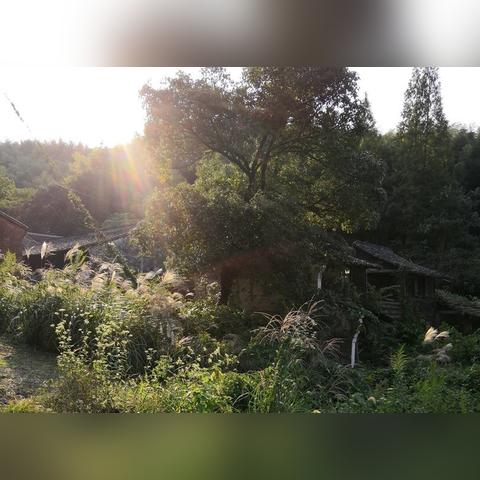 宁波市19中学怎么样