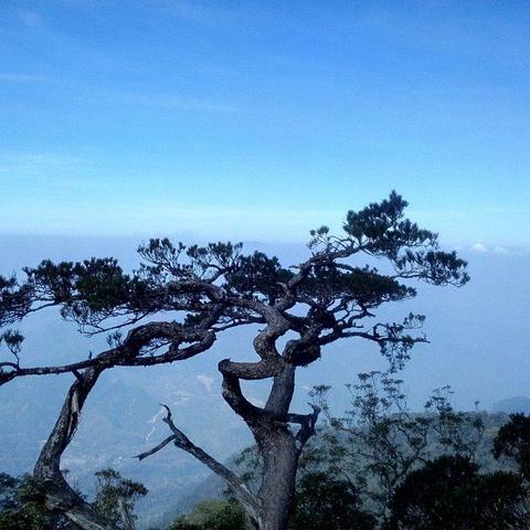 厦门海瑞山的相关长尾关键词有哪些