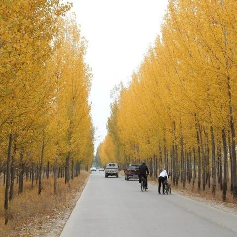 保定市哪里给孩子看牙