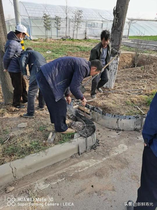 潍坊市寿光孙家集：只争朝夕不负韶华吹响春季干事创业冲锋号